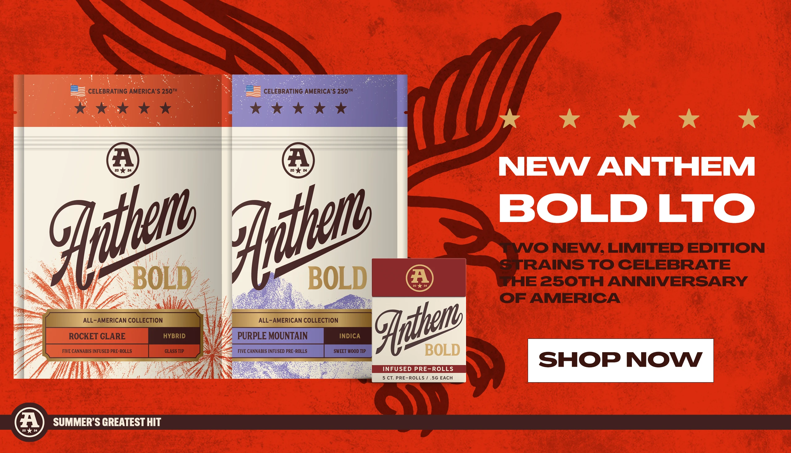 Anthem Bold LTO